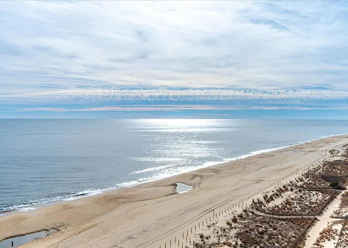 Sunny Oceanfront Century I 2 Bed/2 Bath With Indoor Pool!